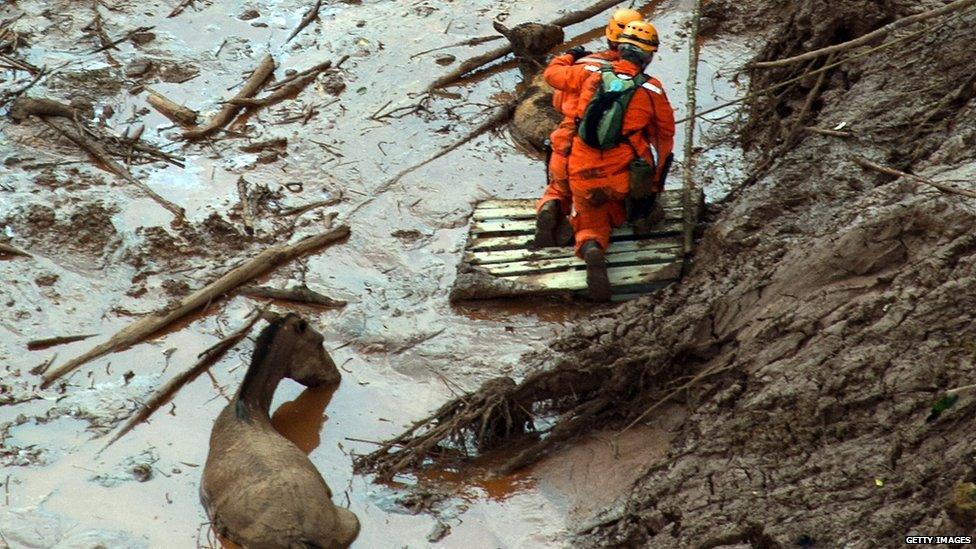 workers pulling horse from mudslide