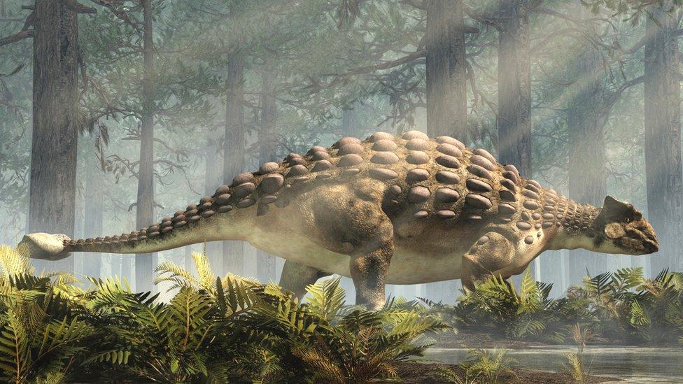 Ankylosaurus Standing in a Forest