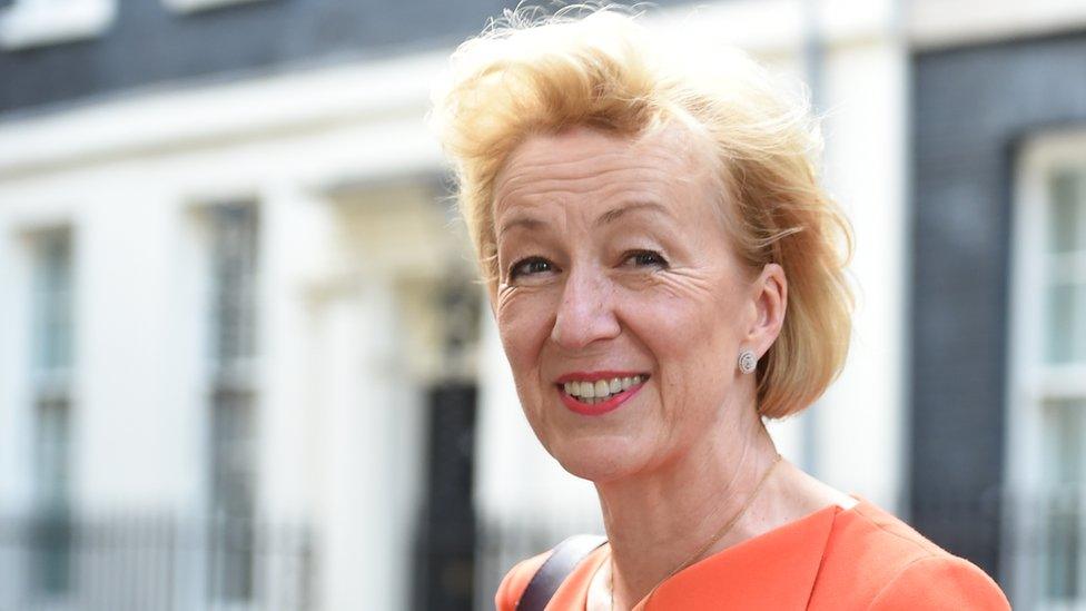 Andrea Leadsom