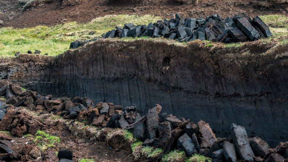 Peat after being cut