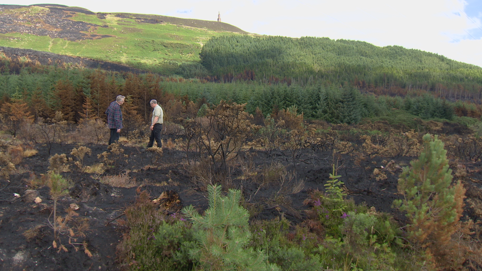 golspie wildfire