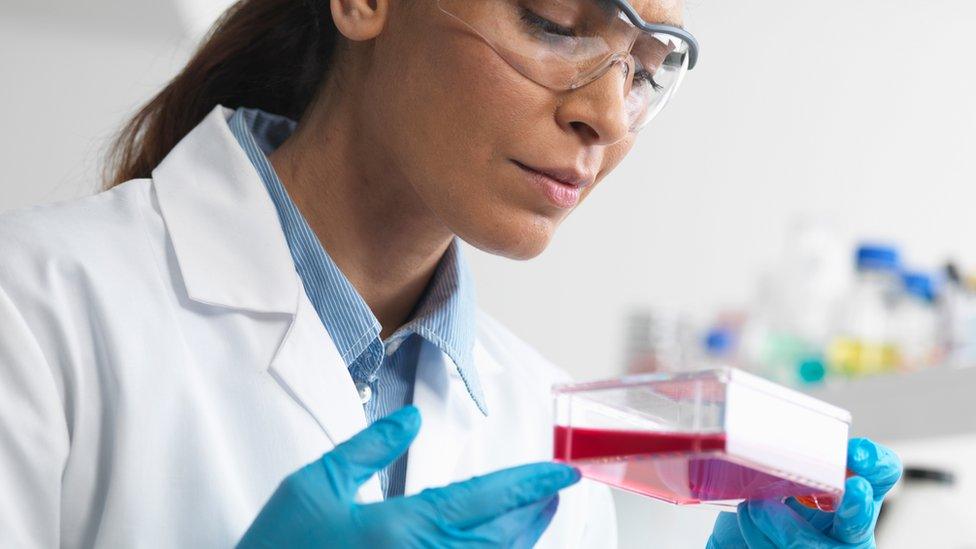 Woman scientist holding stem cells