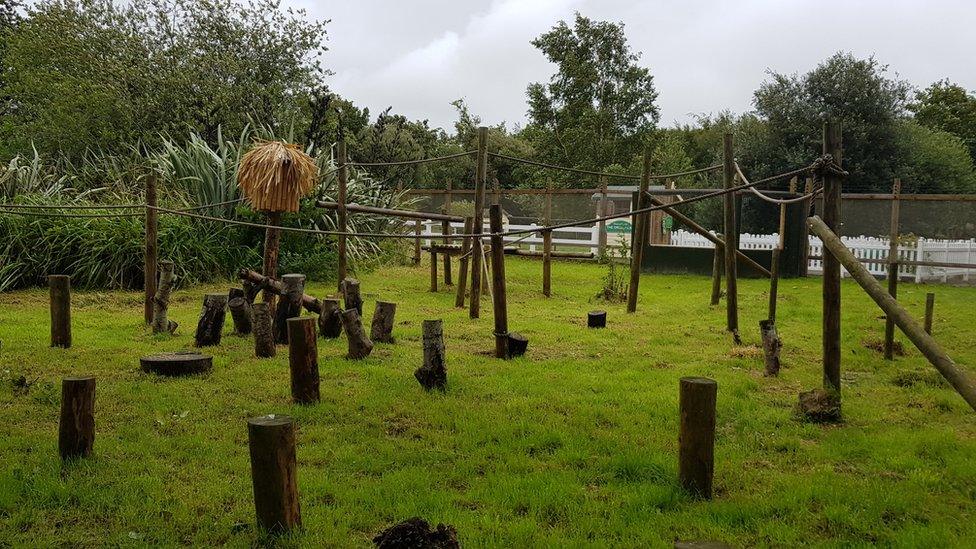 Curraghs Wildlife Park lemur enclosure