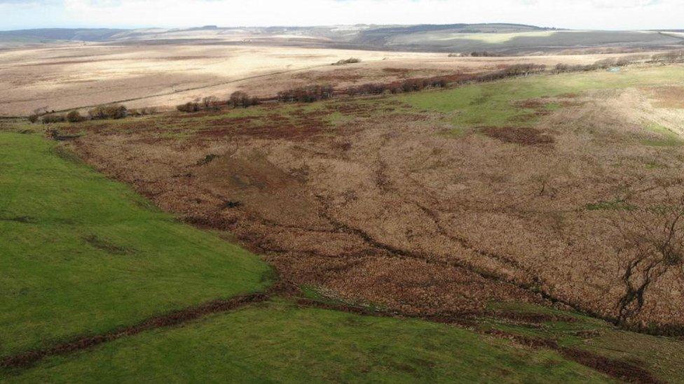 Alderman's Barrow Allotment pre-restoration, in October 2022