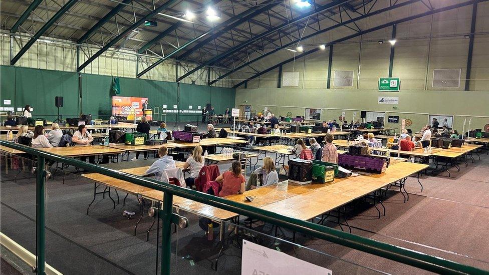 Counting under way in Southend