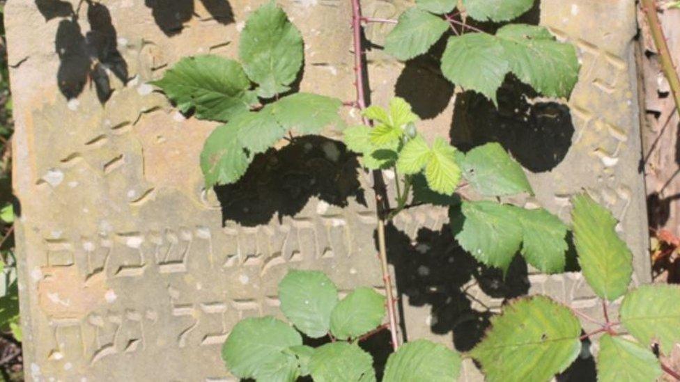 The abandoned Jewish cemetery