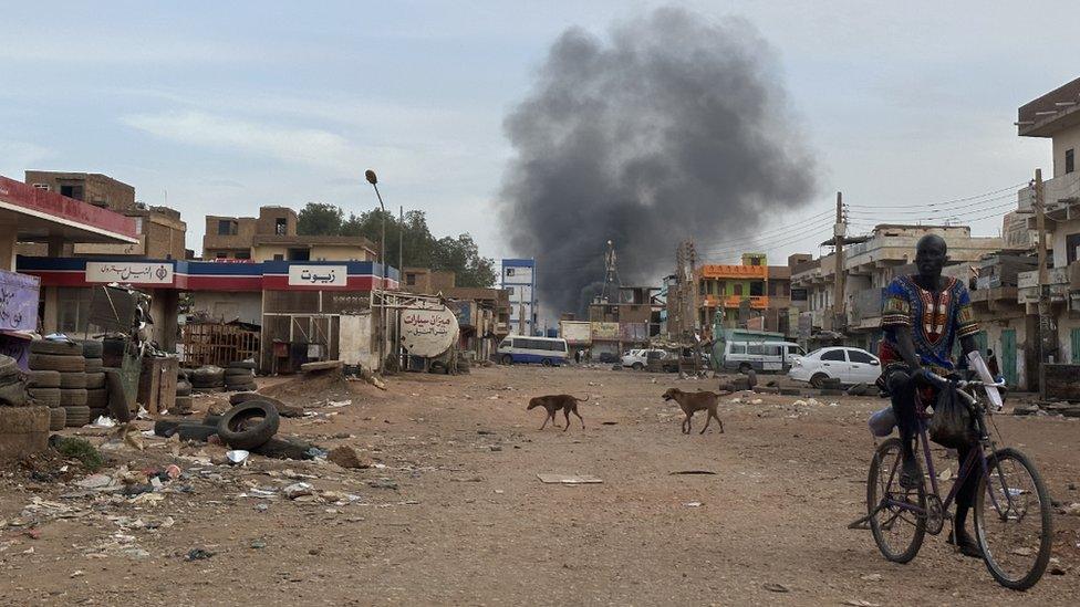 A man rides a bike and dogs roam a street as smoke rises above Khartoum, Sudan. Photo: 30 April 2023