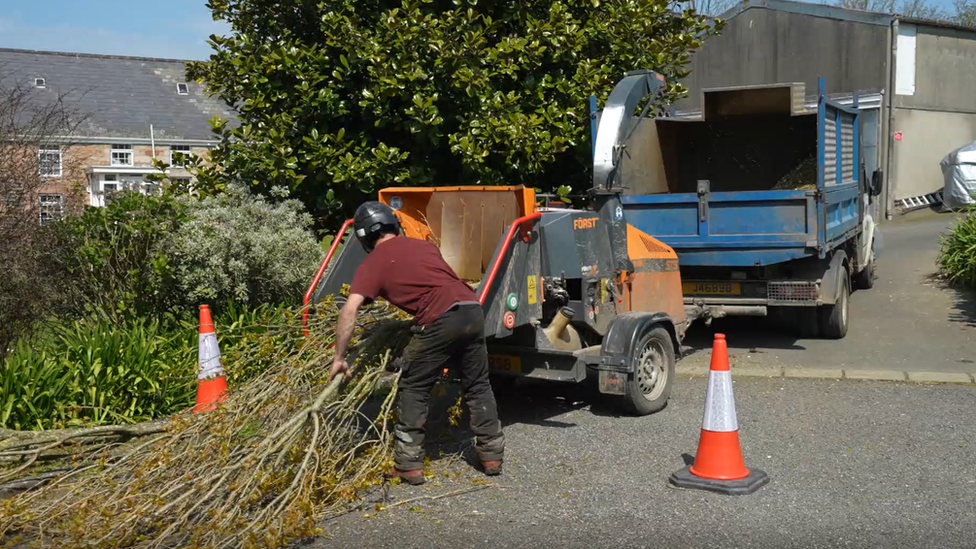 Tree cutting machine