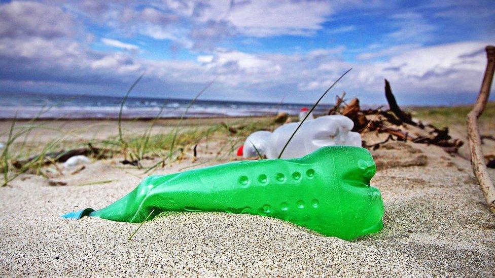 image of plastic bottles on beach