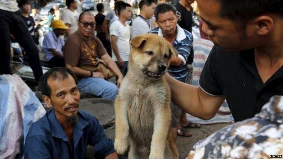 Man holding up a dog