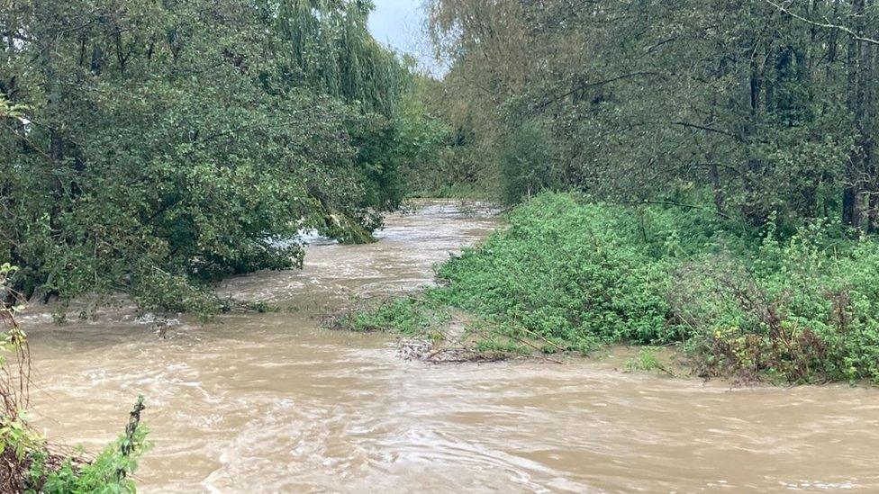 High floodwater and shrubbery