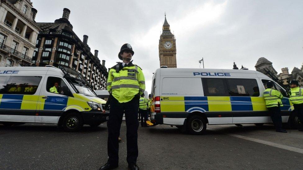 Police outside the Palace of Westminster