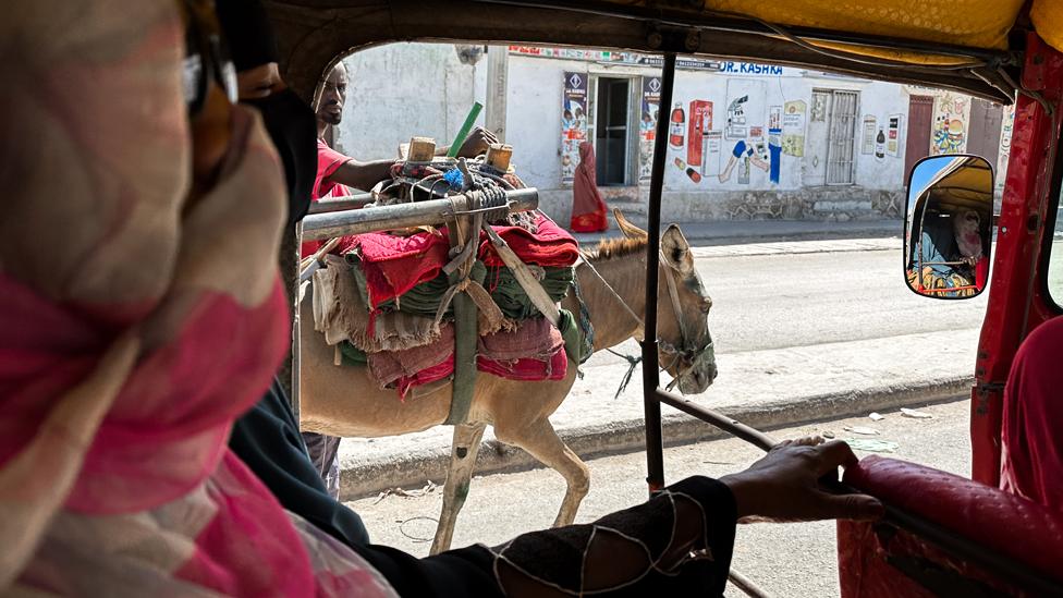 Scene from inside a motorised rickshaw