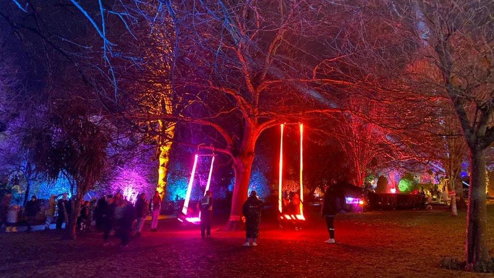 Large tree with a pink swing and red swing for people to use