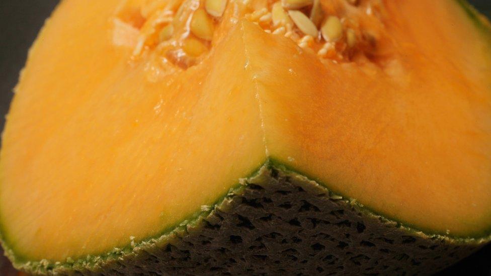 Cantaloupe melon