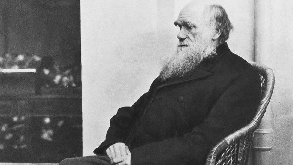 An old black and white image of Charles Darwin - with a long white beard - sitting on a chair and facing to the left of the frame.