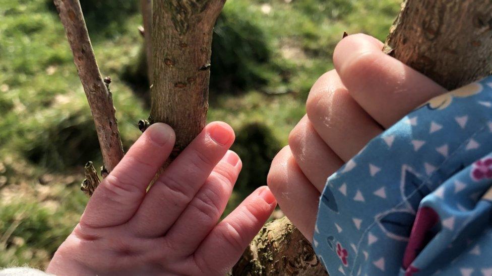 The couple planted a tree in Callum's memory