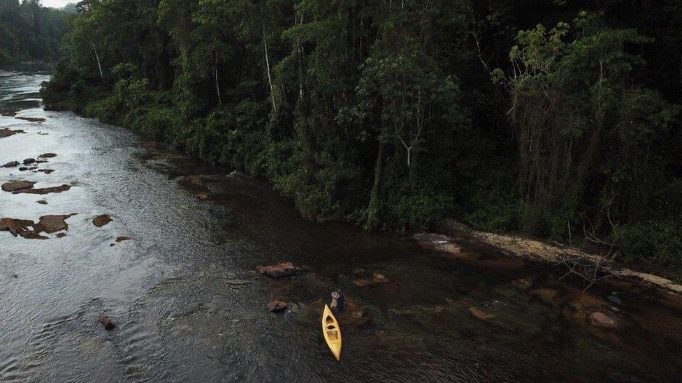 Researchers in the Amazon