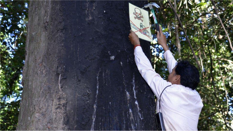 Leng Ouch hanging a sing on a tree (Image: Goldman Environmental Prize)