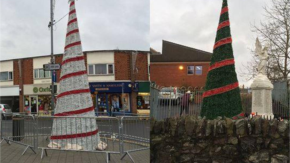 cone trees in Leicestershire