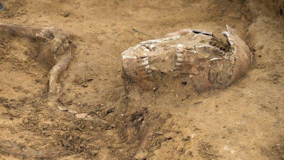 Bones uncovered at the site of the battle of Waterloo