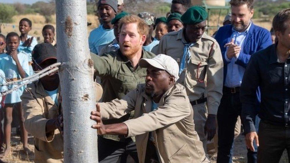 Prince Harry planting tree