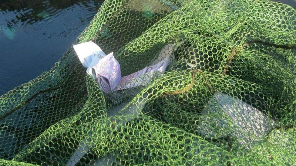 danube river fishing nets NIRVANA Folding Damo 25cm Creek Net w/Rubber Coated Netting — DRAGONtail Tenkara The Blue Line – Hellbender