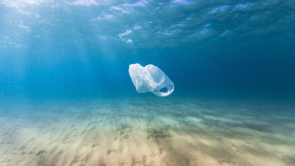 A single plastic bag floats in the ocean