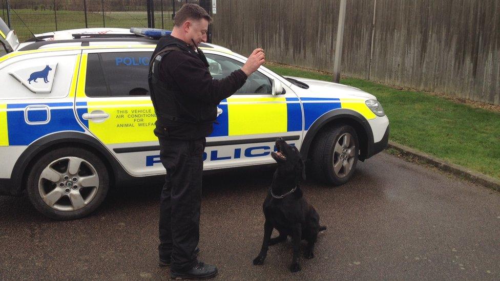 Ozzy the police dog with handler PC Paul Huggett