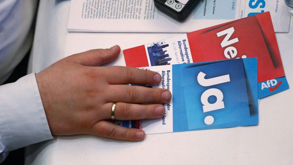 A delegate holds voting cards at an AfD conference