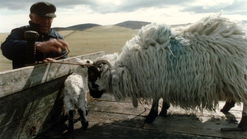 Still from The Shepherds of Berneray