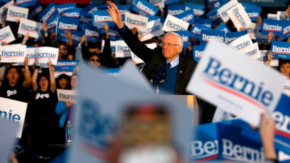 Bernie Sanders at a rally in Michigan