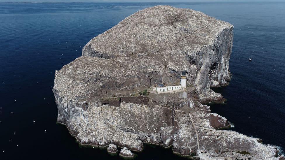 Drone shot of Bass Rock