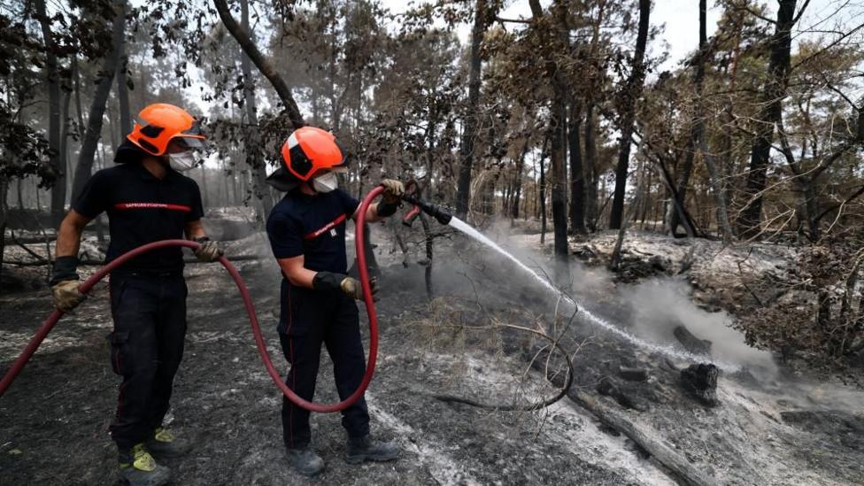 Volunteer firefighter suspected of starting devastating France forest fire