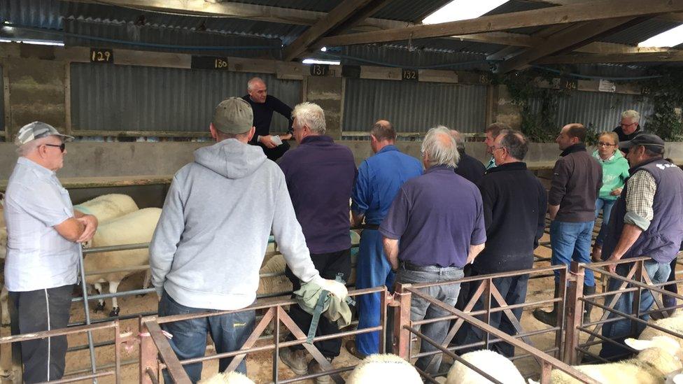 A few people at the Cardigan livestock mart