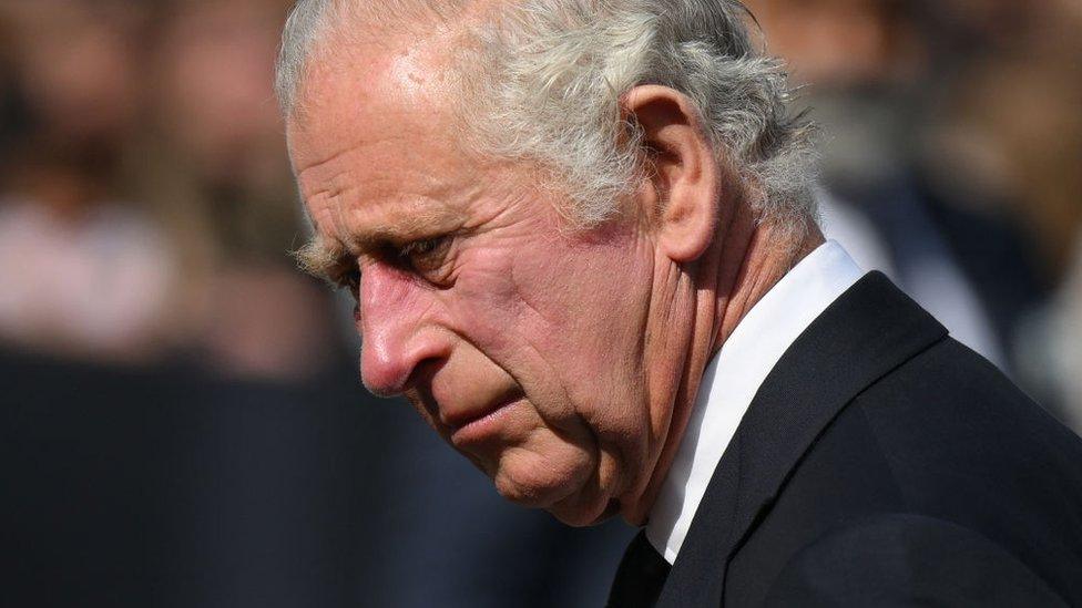 King Charles III, meeting the public outside Buckingham Palace