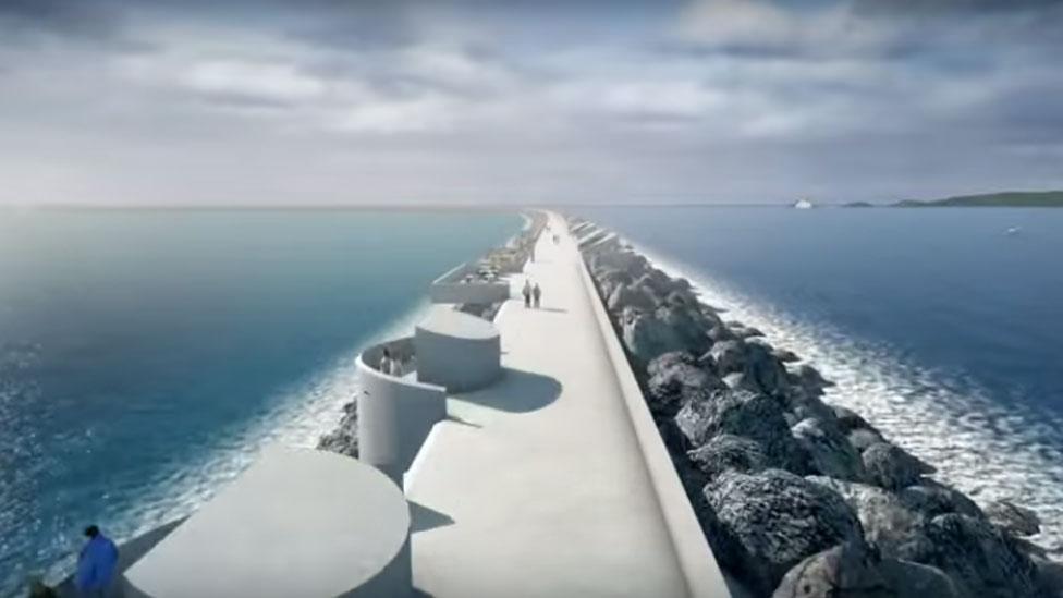 Swansea tidal lagoon: The environmental arguments - BBC News