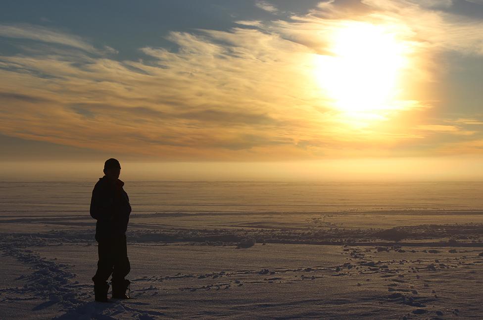 Larsen C