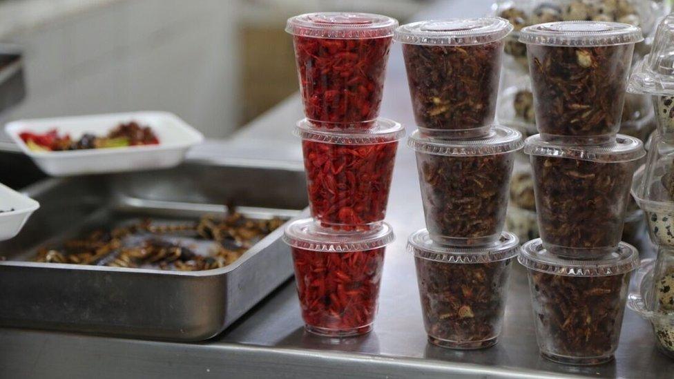 Bugs snack pots in San Juan market