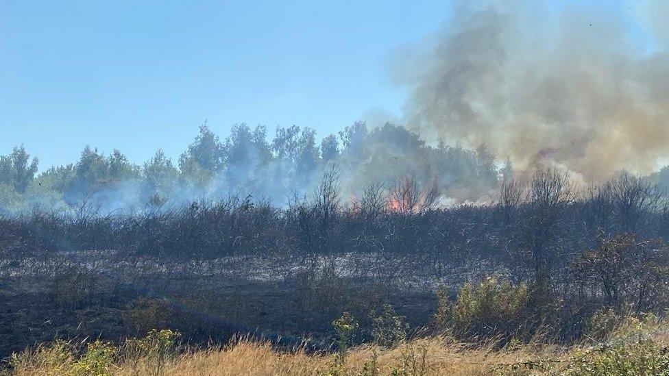 A field fire in Canvey Island, Essex