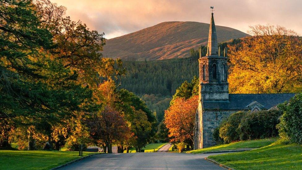 Autumn colours in a national park