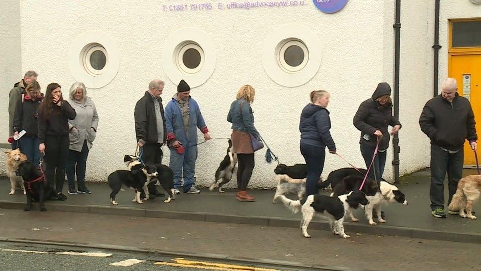 Queue to microchip dogs in Stornoway