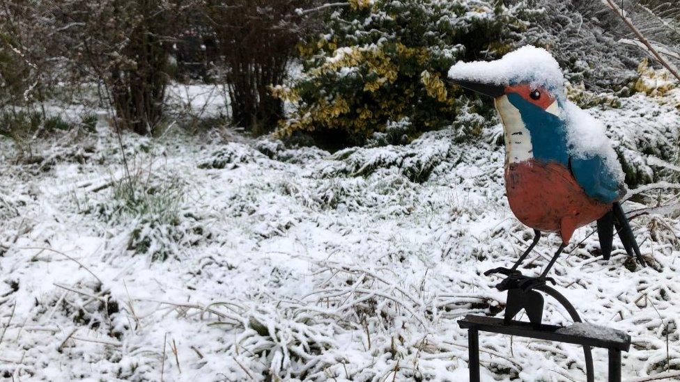 Snow on a bird ornament