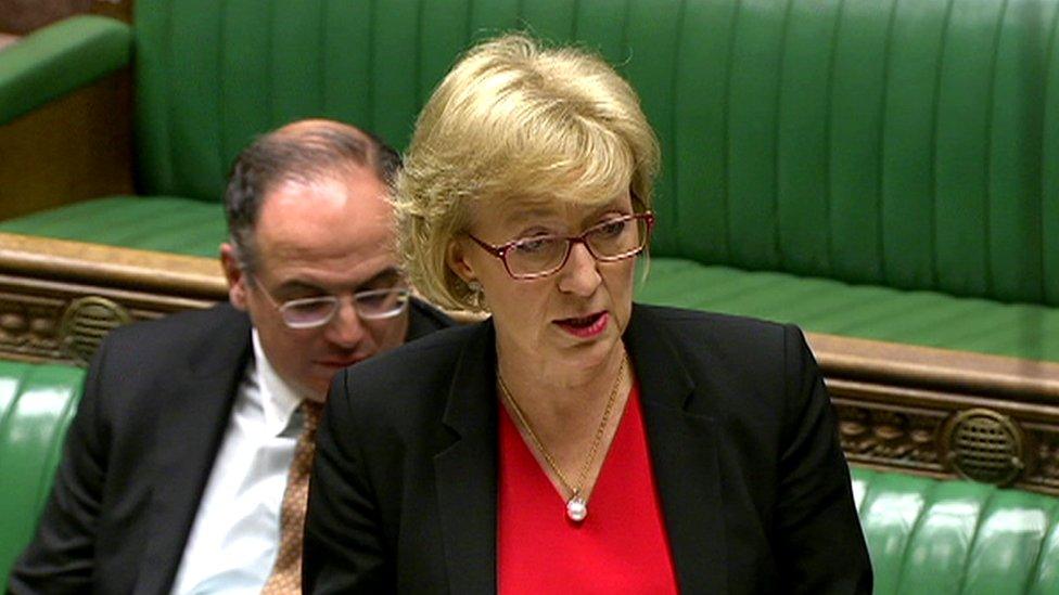 Andrea Leadsom