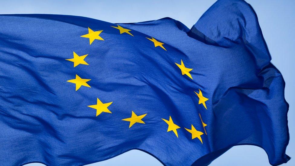 What is the EU? - BBC Newsround