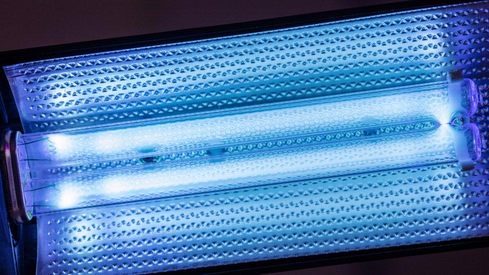 A UV-C light