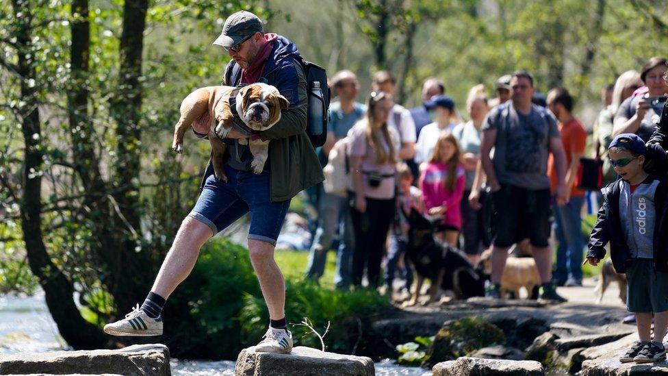 dog-being-carried-by-owner