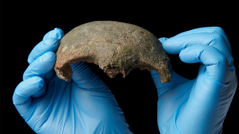 The earliest skull yet found by Thames "mudlarkers"