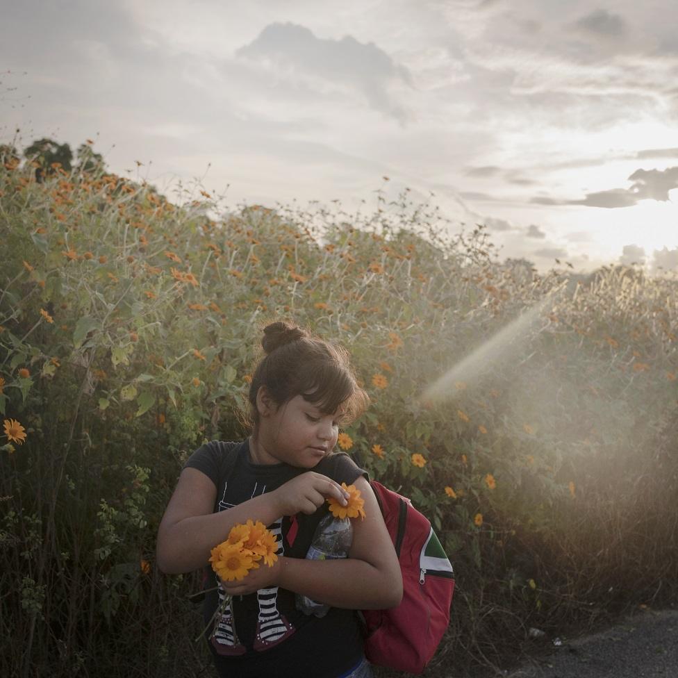 A girl looks at a flower in a meadow