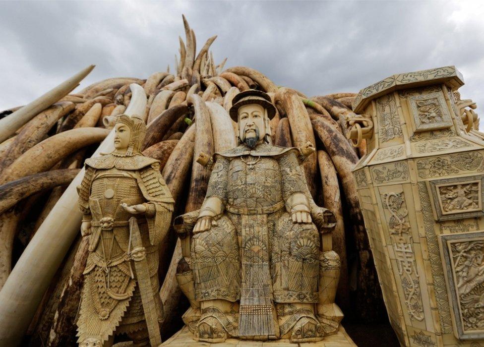 Some of Ivory statues stand in front of some of the confiscated ivory stockpile stacked up onto pyres by Kenya Wildlife Service (KWS) workers (not visible), at the Nairobi National Park, in Nairobi, Kenya, 28 April 2016.